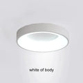 Round LED Ceiling Light for Living Room & Bedroom